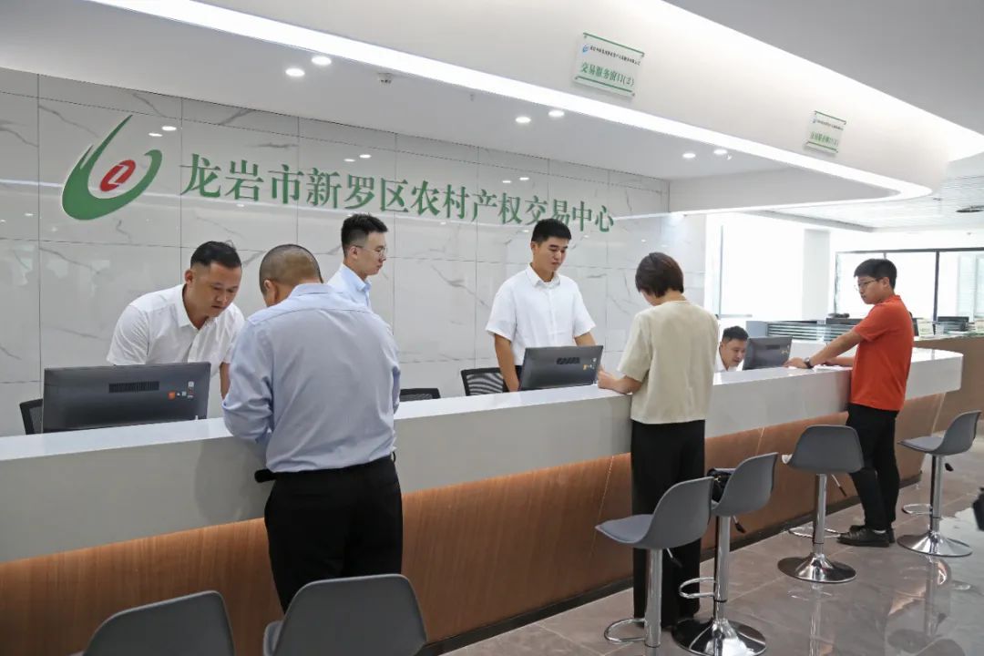 龙岩市新罗区农村产权交易中心正式揭牌 创新政府采购咨询服务模式